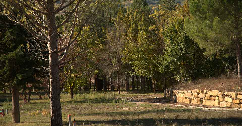 location parcelles pour mobil home en partie boisé